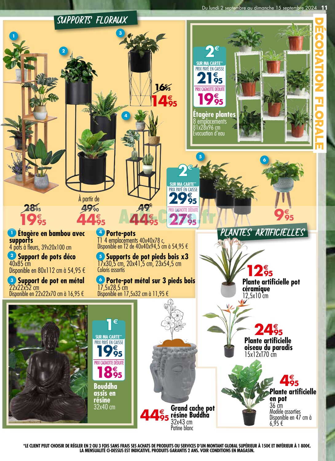 Intérieur jardin Carrefour